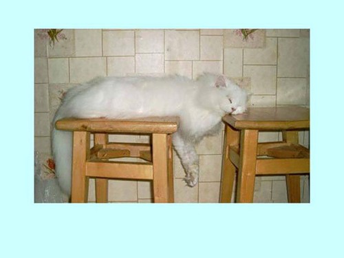 image007