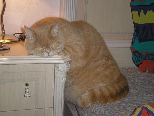 image016