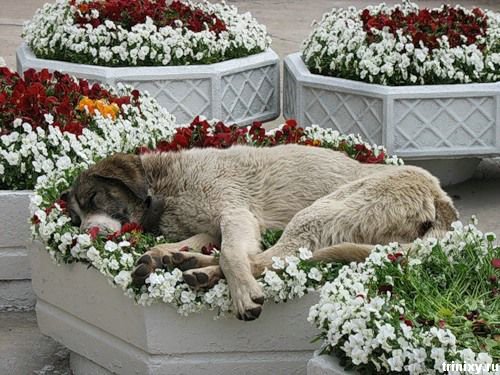 image019