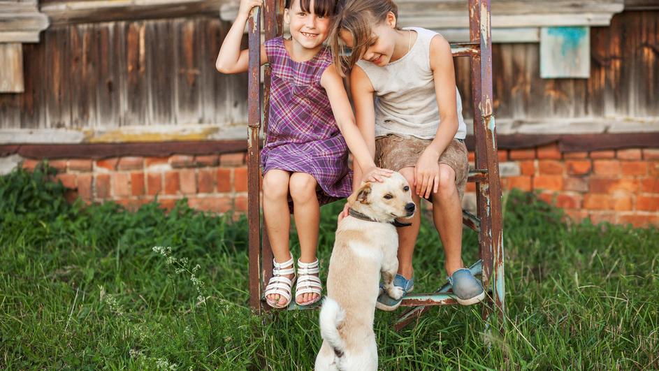 ljubimci raspolozenje
