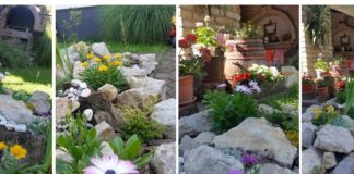 Nevidljive bolesti – kako ih objasniti? ms