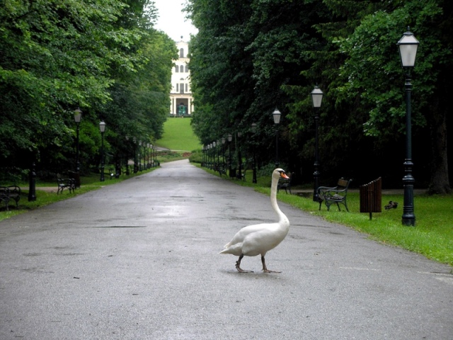 park maksimir1