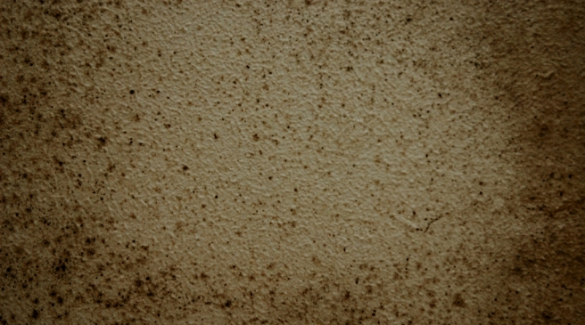 pljesam