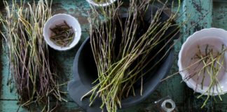 Počela je sezona sparoge