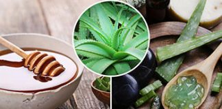 Aloe vera liječi kožne bolesti i umiruje želučane probleme aloevera