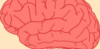 Ovo bi moglo biti veliko otkriće; znanstvenici su otkrili gen u mozgu koji uzrokuje depresiju. I na koji se može utjecati gen depresija