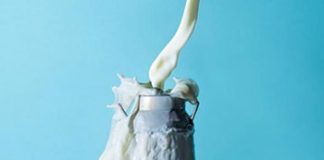 Ovo je 10 namirnica bogatih kalcijem, a ne sadrže mlijeko kalcij hrana