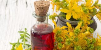 recepti gospina trava