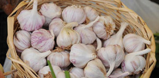 Ne bacajte ljusku od češnjaka – koristit će vam za puno toga ljuska cesnjak