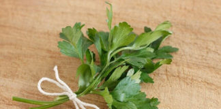Upotrebljavate ga u kuhinji, ali ovo o peršinu niste znali persin