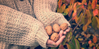 Ovo su namirnice koje će vas pomladiti – paprika, orasi, med namirnice pomladivanje