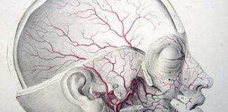 Nova studija sugerira da bismo, testirajući njuh, mogli otkriti pojavu Parkinsona 10 godina prije simptoma parkinston njuh