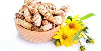 CICOKAZ