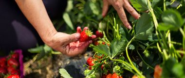 iStock 000059084872 Large