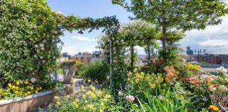 rooftop garden