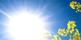 Toplotni udar u Hrvatskoj Jako_sunce