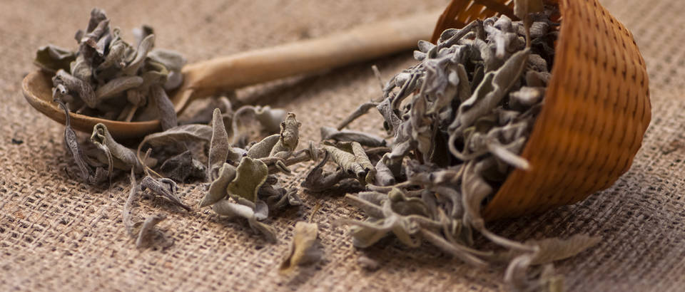 73ed0ec9807012e65e8e282e370cb7ec hero