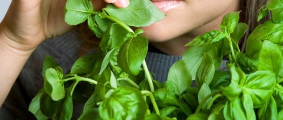 a7f1ccad21fb79e52f6faa31094be2b5 hero