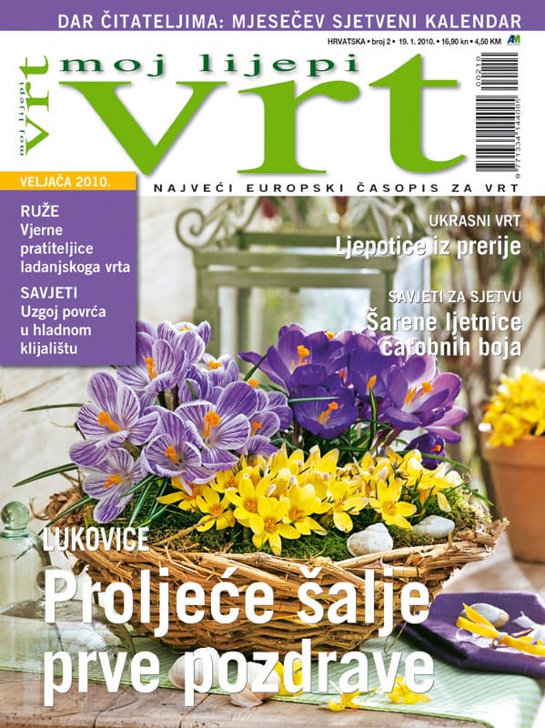 MOJLIJEPIVRT_02_2010