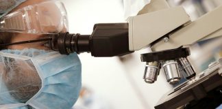 KAKO BITI ZAUVIJEK MLAD