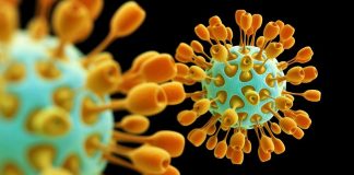 STARI SU KOLIKO I ŽIVOT I ZAPISANI U NAŠOJ DNK