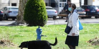 Perite šape, skratite šetnje