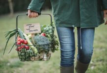 IZOLACIJA NE ZNAČI DA ŽIVOT MORA STATI