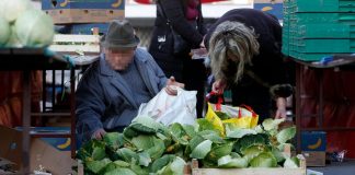 Falit će nam mesa i povrća