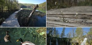 Nacionalni park koji je zatvoren na prvi dan proljeća