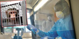 Oxford na korak do cjepiva