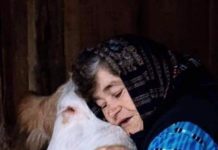 Baka spasila svoju kravu iz ruševina BAKA I NJENA KRAVICA