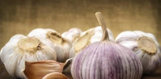 Začin koji već 7000 godina liječi sve narode svijeta ceso