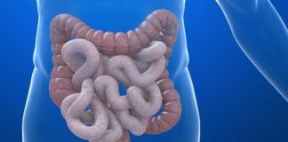 Sve studije pokazale crijev