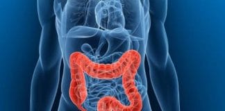 Izvucite živu glavu crijeva