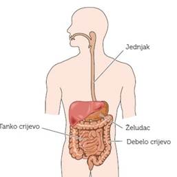 crijevhem2