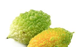 Gorka dinja gorka dinja