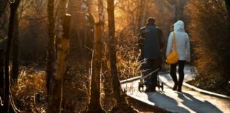 Bolje ne može hodanje