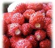 jagode3