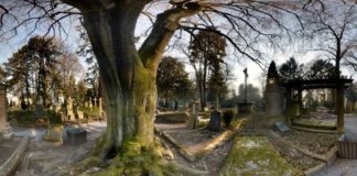 U ovih 7 svjetskih gradova umiranje je proglašeno nezakonitim djelom kaliforn3