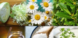 Narodna mudrost kamil