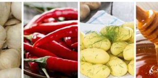 Energetski aspekt hranjenja klopa