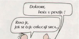 koddr
