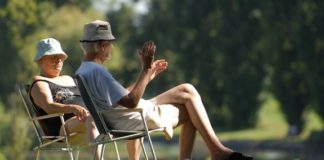 Objavljena lista komarac