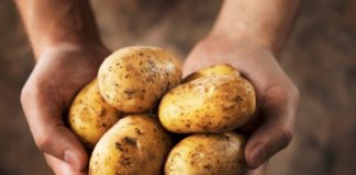 Krumpir naš svagdašnji komp