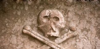 Nema više tajni kostirr