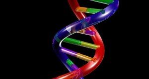 Doživjeti 100-tu! kromic