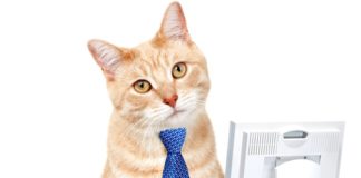 Pet pogrešaka …. krvatmac