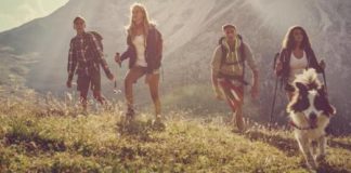 Piroplazmoza nije šala kuca1