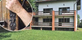 Noćni prepad u Čiču kucanesigu