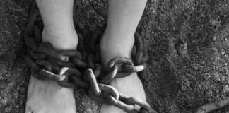 Nasilnici na slobodi lanac